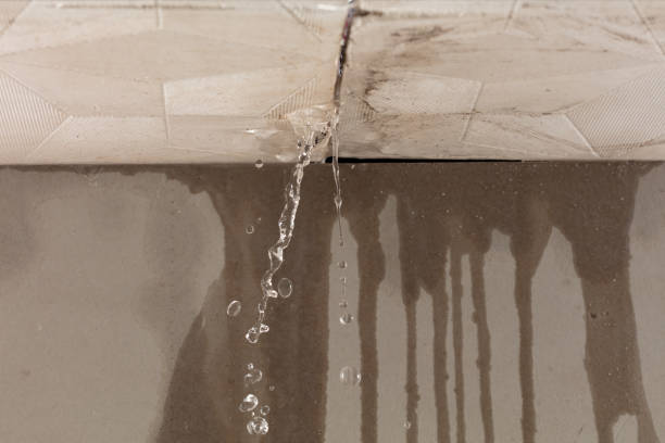 Professional Water Damage Inspection technician working in Schenectady, NY